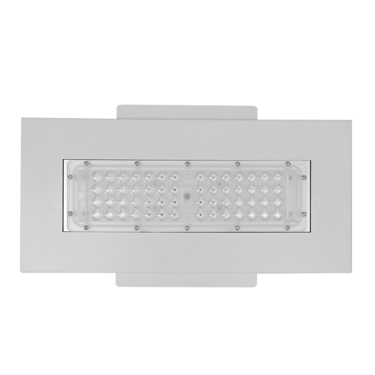 LED Canopy Light